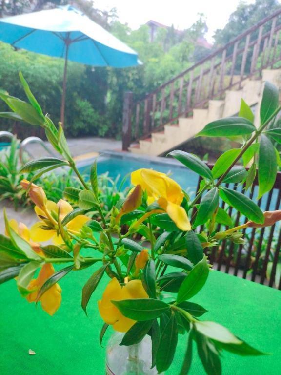 Lama Beach Villa An Ban Экстерьер фото